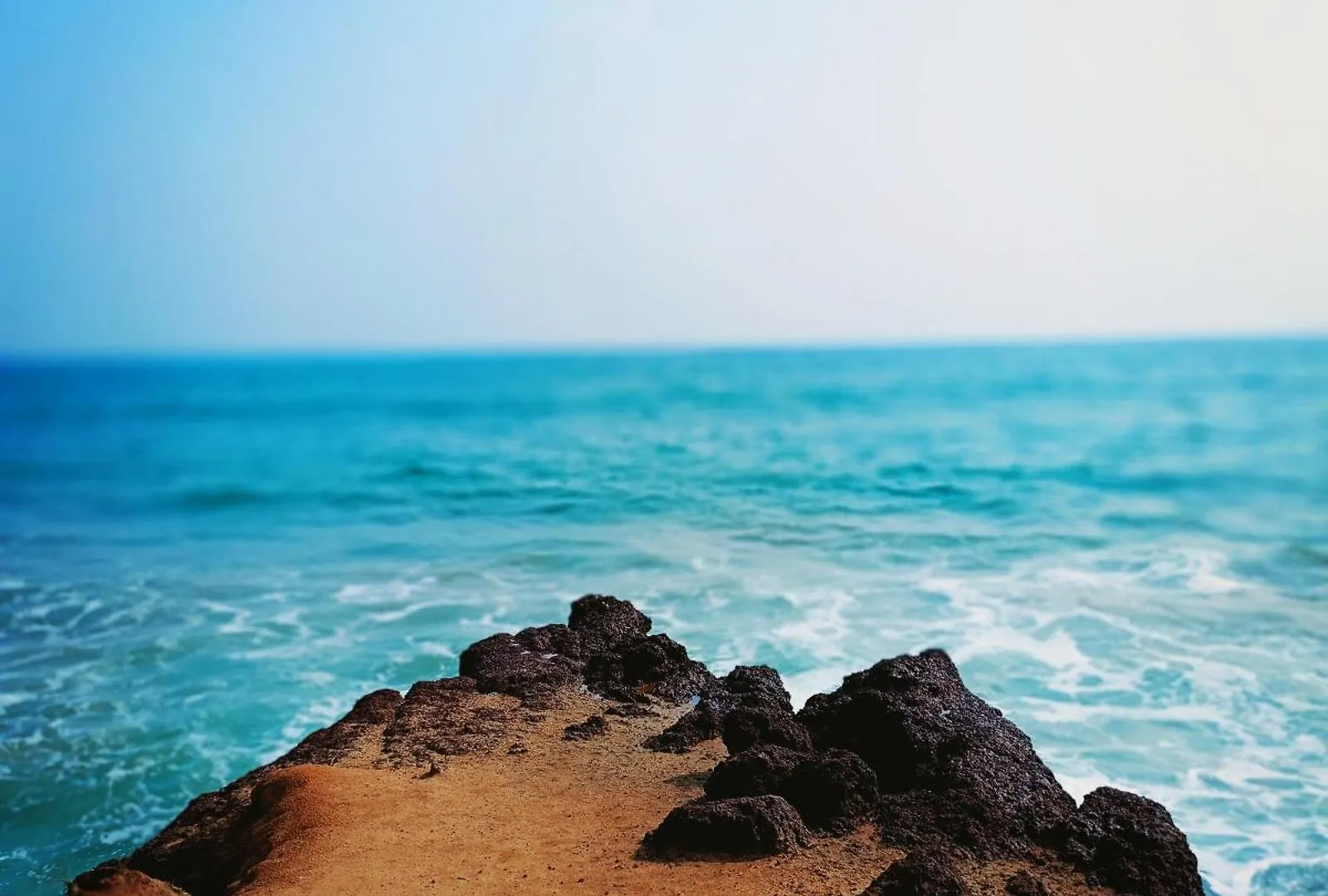 Phoenix Homestay Varkala 0*,
